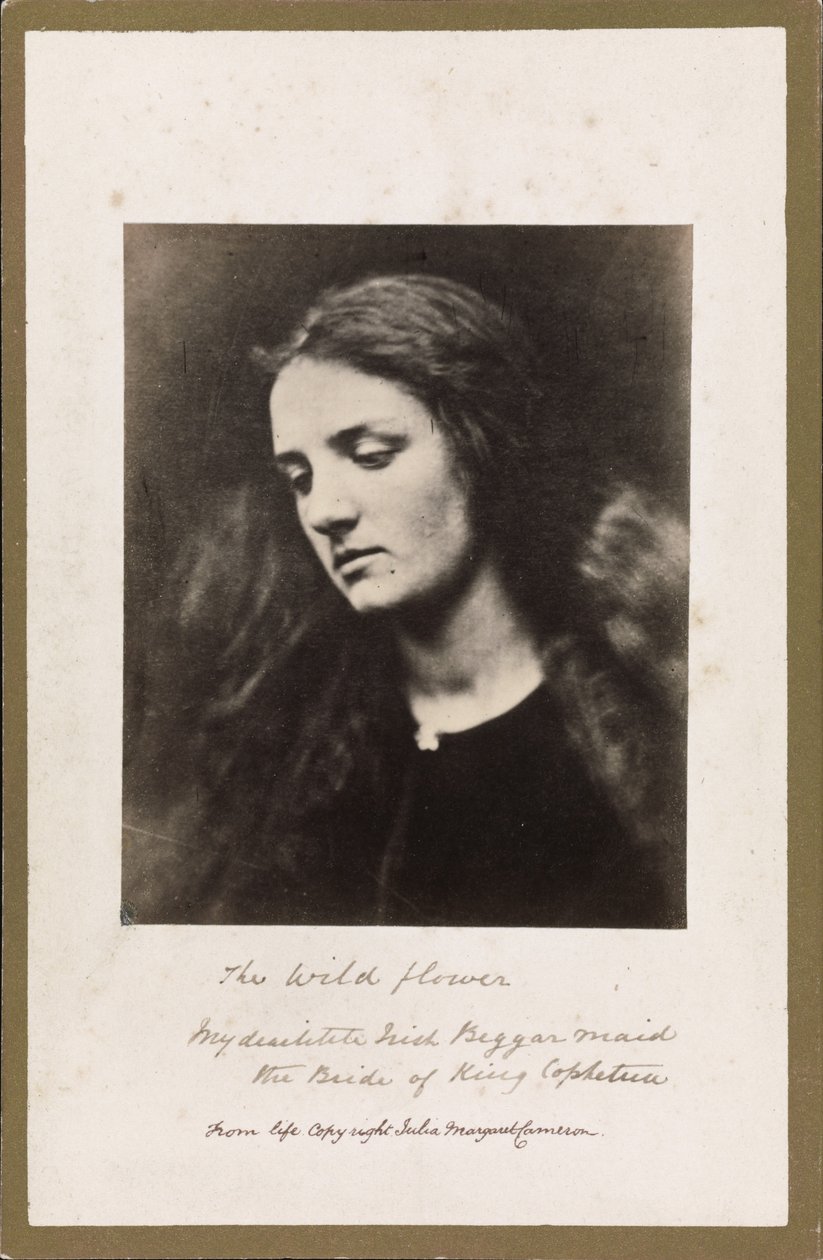 Die Wildblume von Julia Margaret Cameron