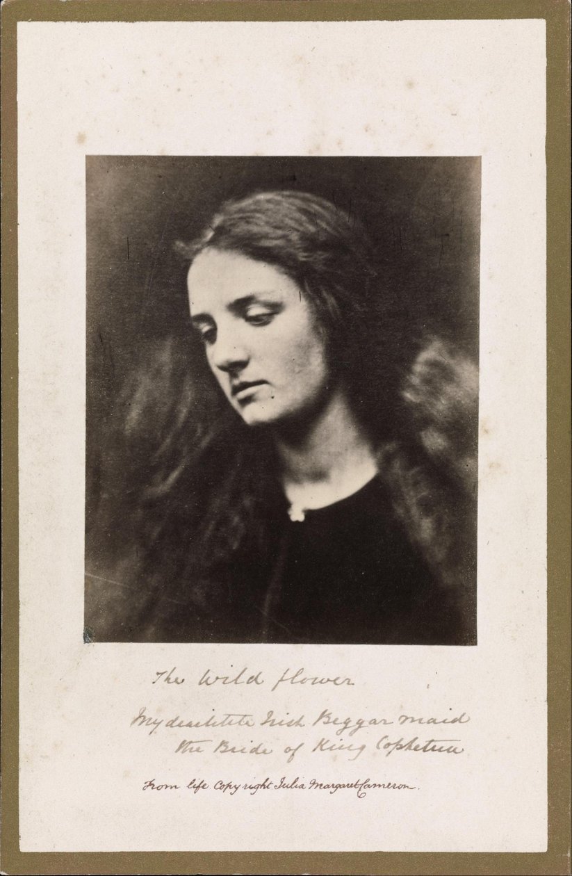 Die Wildblume von Julia Margaret Cameron