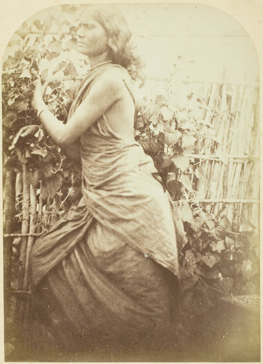 Frau, Ceylon, 1875-79 von Julia Margaret Cameron