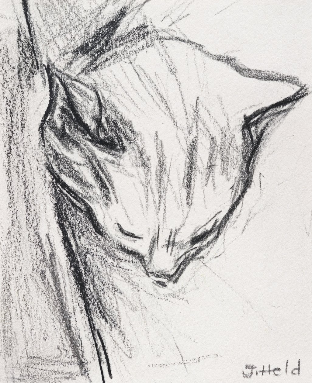 Schlafende Katze, 2015 von Julie Held