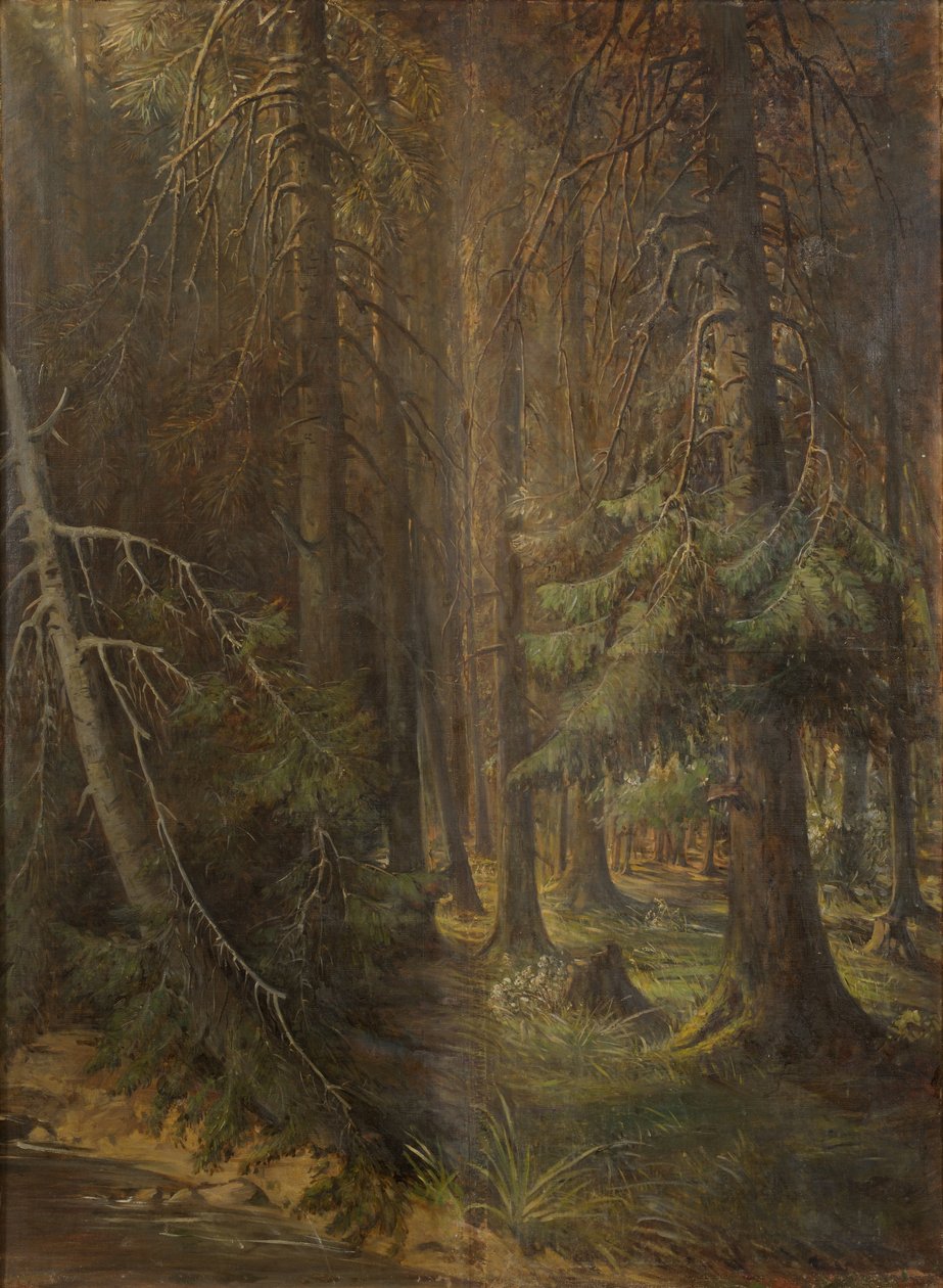 Wald von Julie Wilhelmine Hagen Schwarz