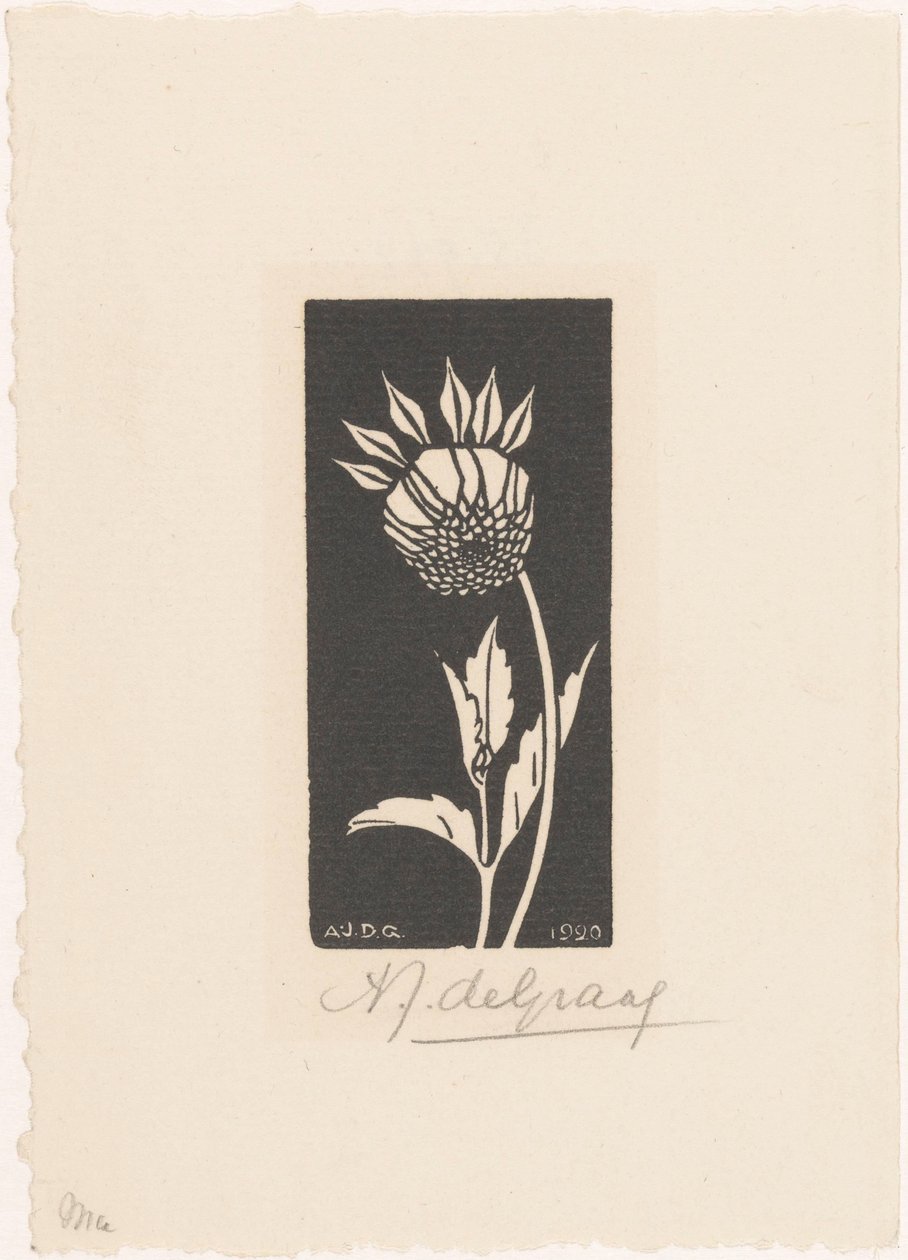 Dahlie von Julie de Graag (signed by artist)