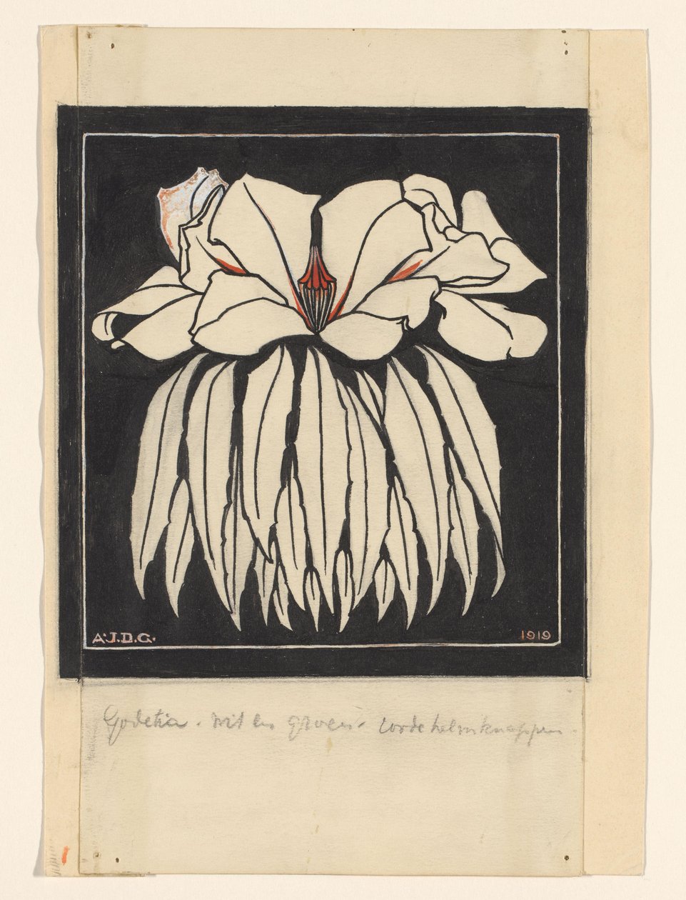 Godetia von Julie de Graag (signed by artist)