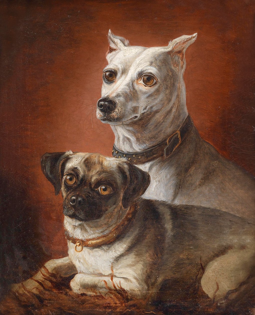 Hundeporträt von Julius Hamburger