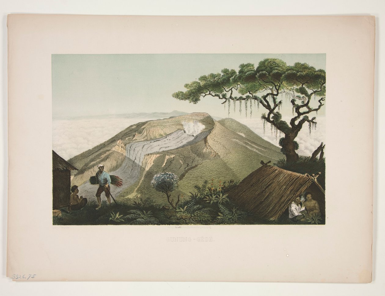Gunung - Gede (Mount Gede) von Julius Friedrich Tempeltey