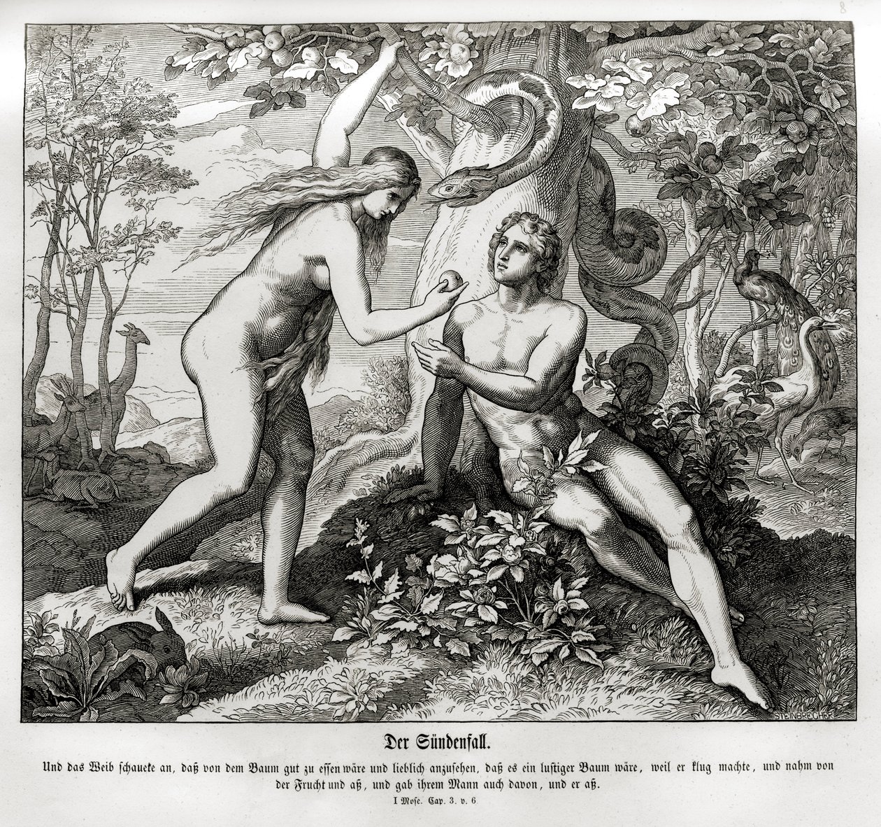 Der Sündenfall, Genesis von Julius Schnorr von Carolsfeld