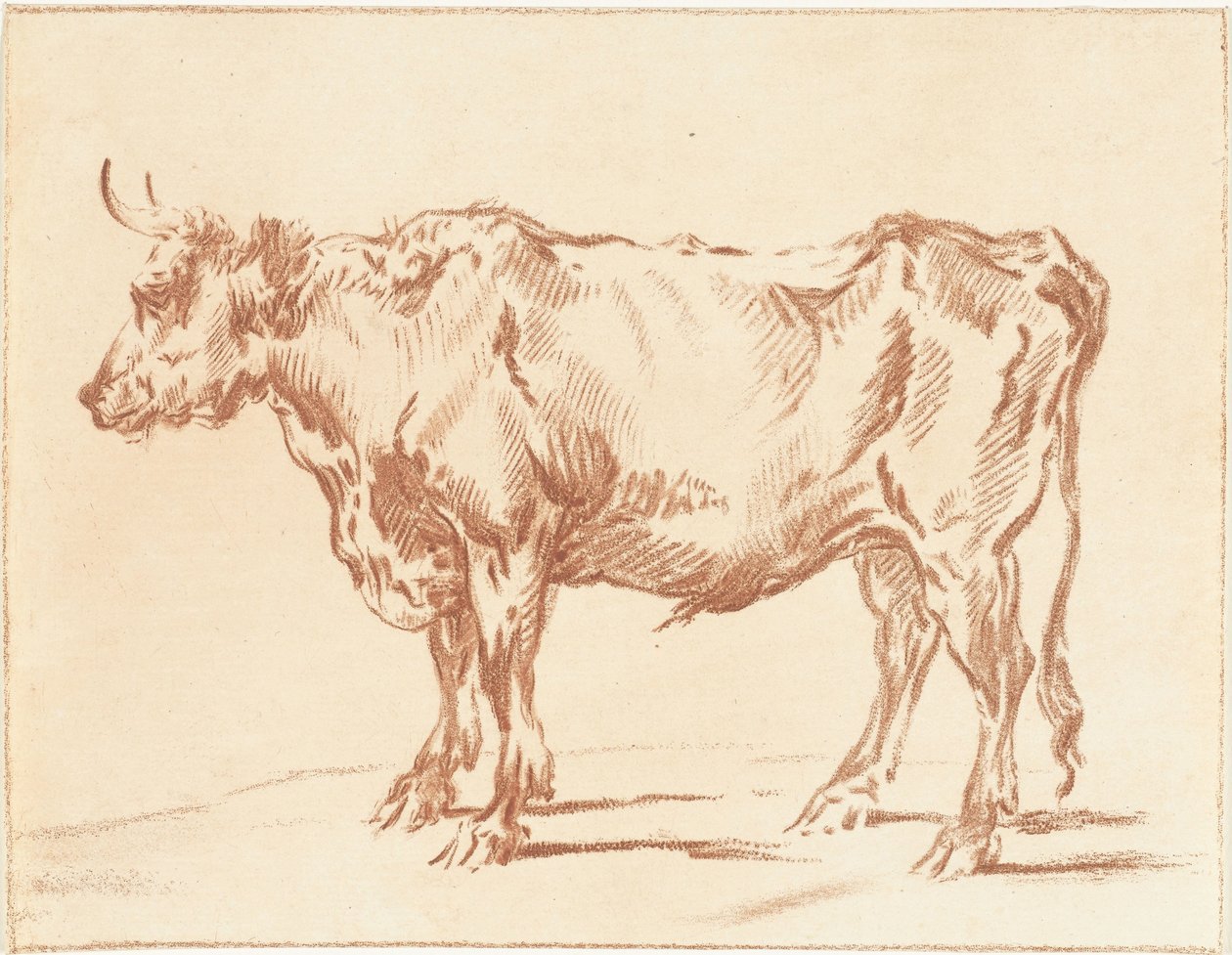 Stehender Ochse von Jurriaan Cootwijck