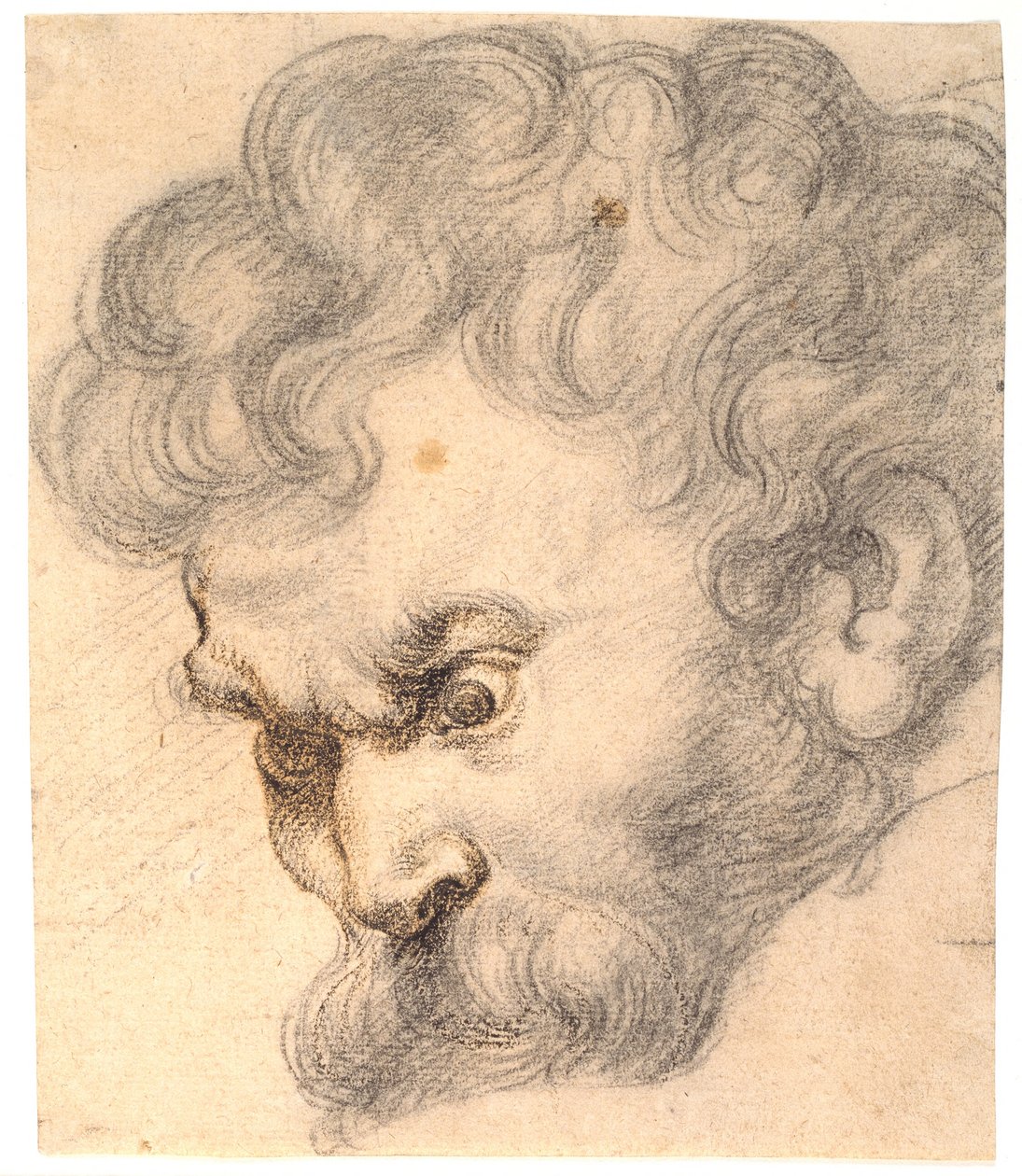 Studie aus "Samson und der Löwe". Samsons Gesicht von KKSgb5627 Ubekendt