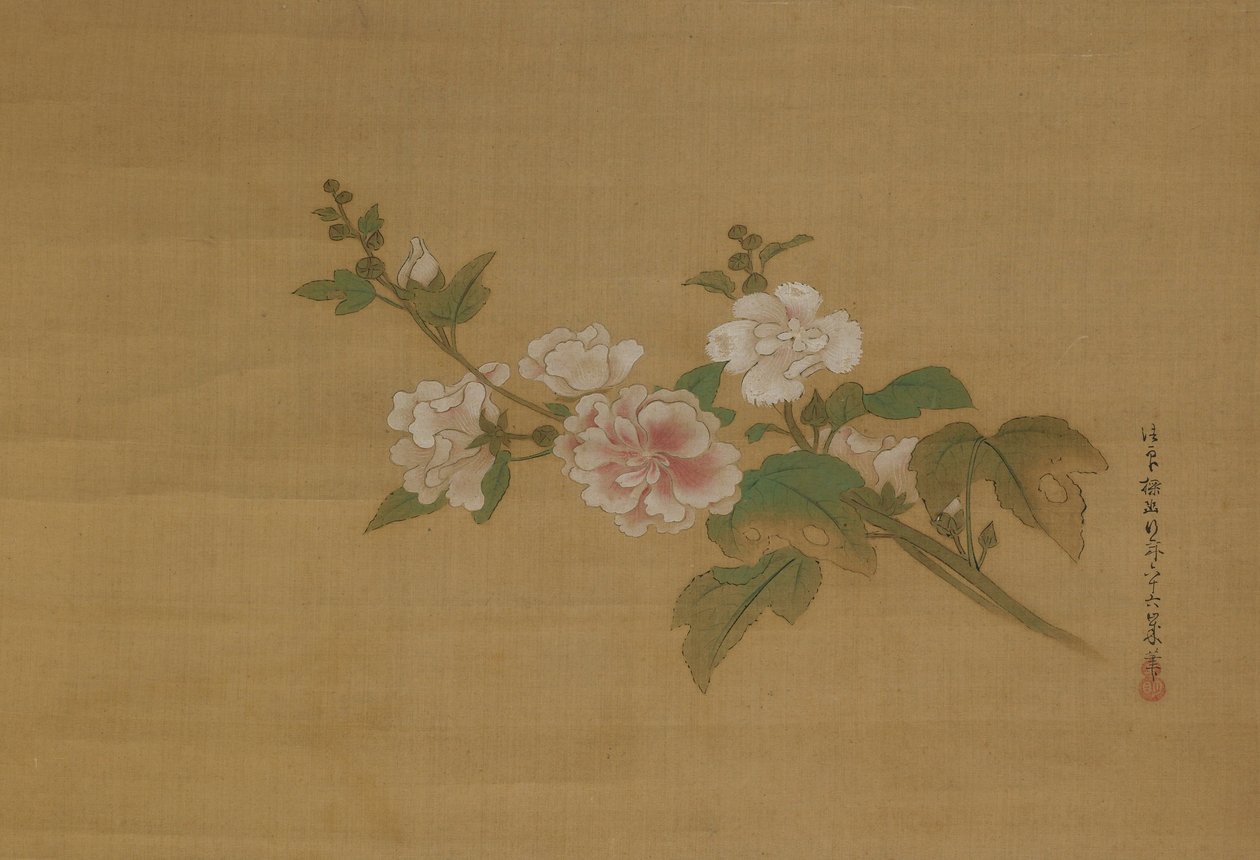 Ein Zweig blühender Hibiskus, Edo-Periode von Kanō Tan’yū