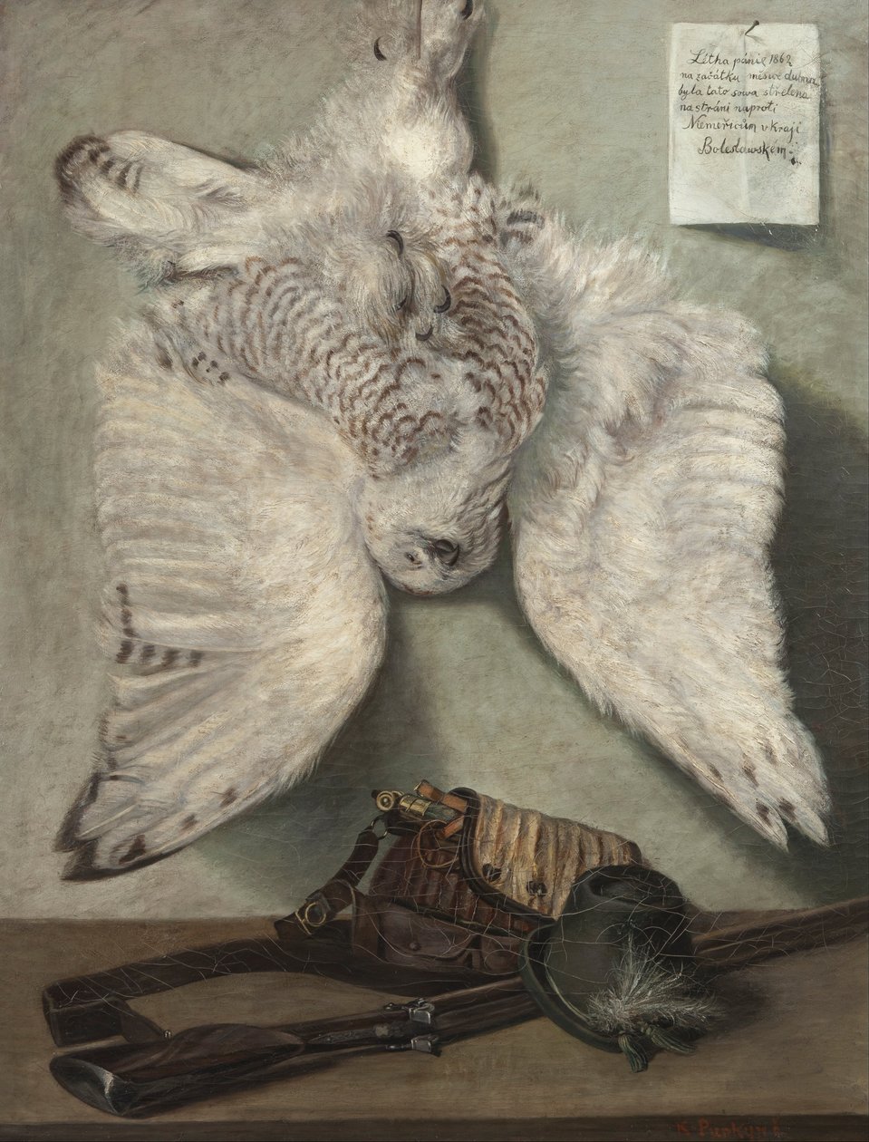 Schneeeule von Karel Purkyne
