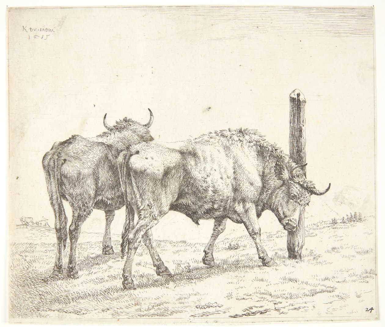 Die zwei Ochsen von Karel Du Jardin