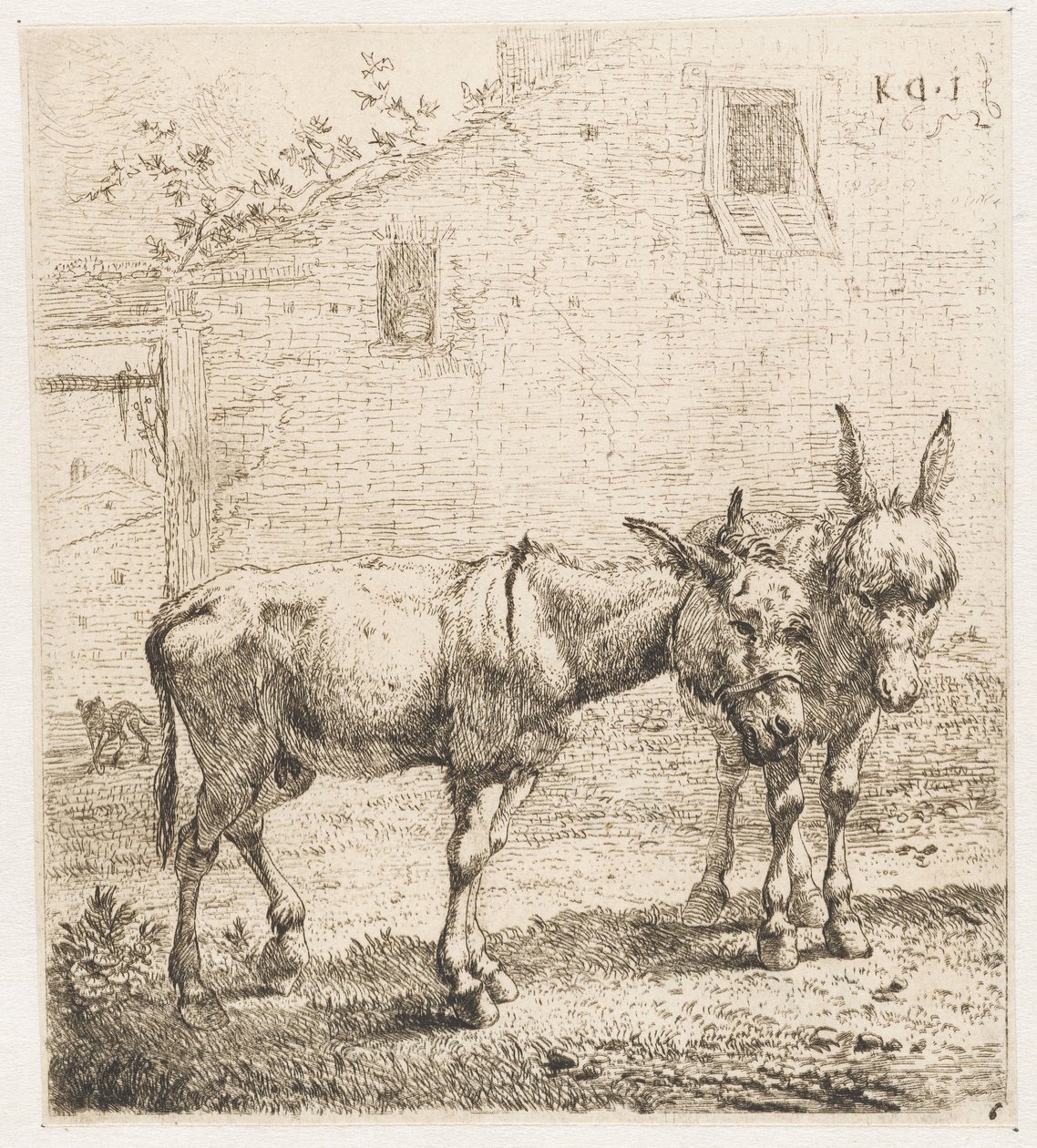Zwei Esel von Karel Du Jardin