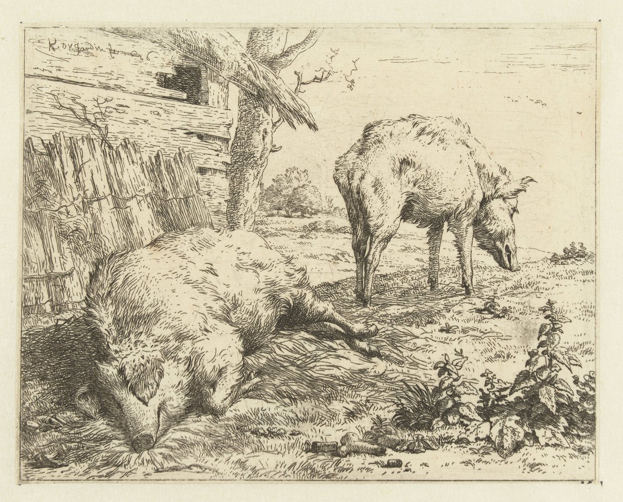 Zwei Schweine von Karel Du Jardin