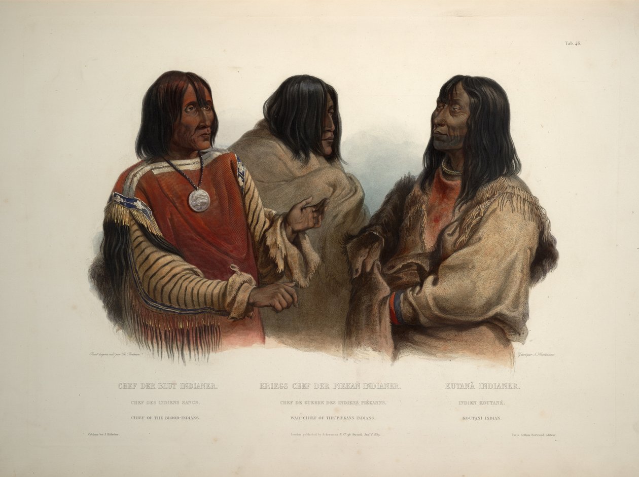 Häuptling der Blut-Indianer, Kriegshäuptling der Piekann-Indianer und Koutani-Indianer von Karl Bodmer