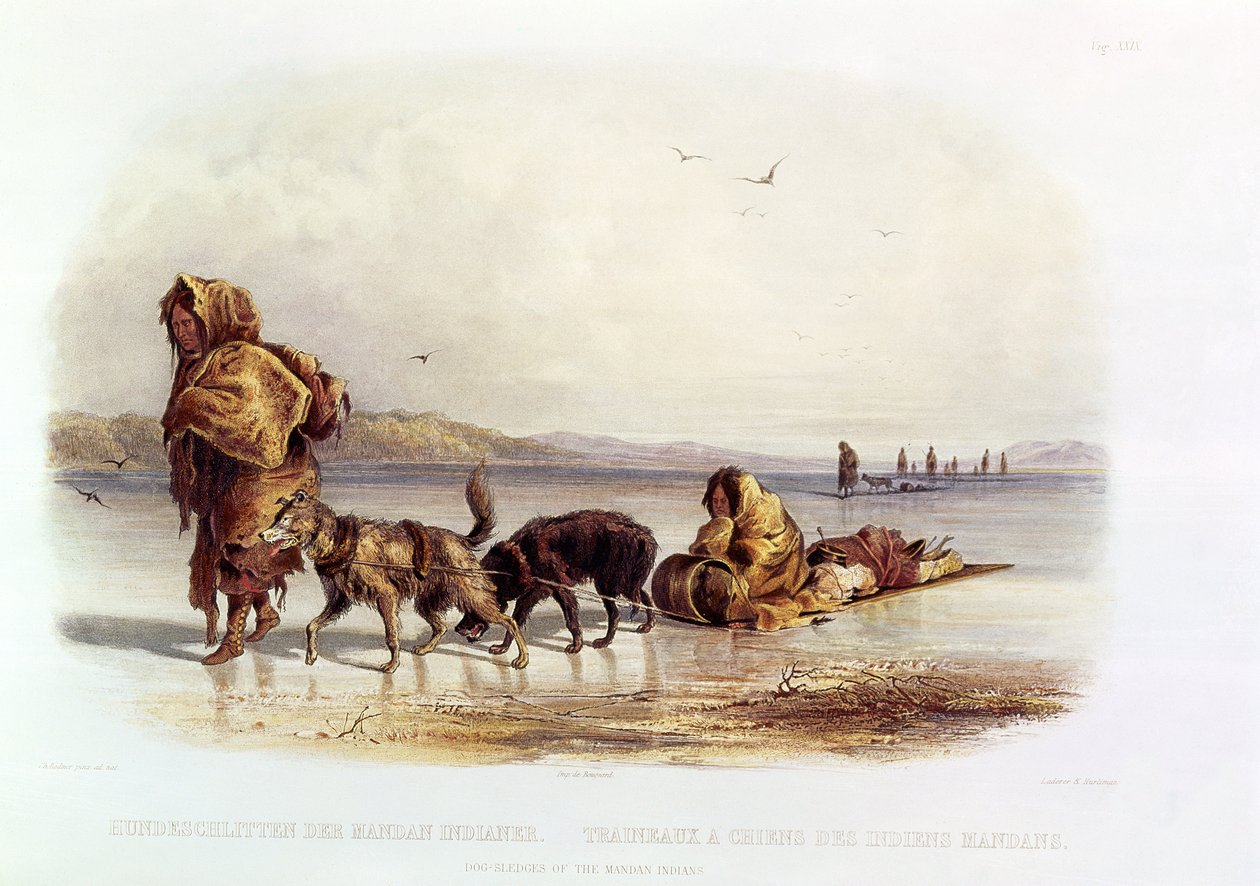 Hundeschlitten der Mandan-Indianer von Karl Bodmer