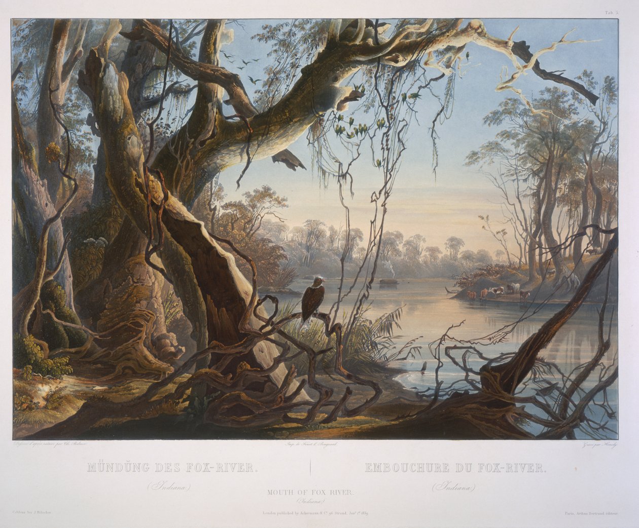 Mündung des Fox River (Indiana) von Karl Bodmer