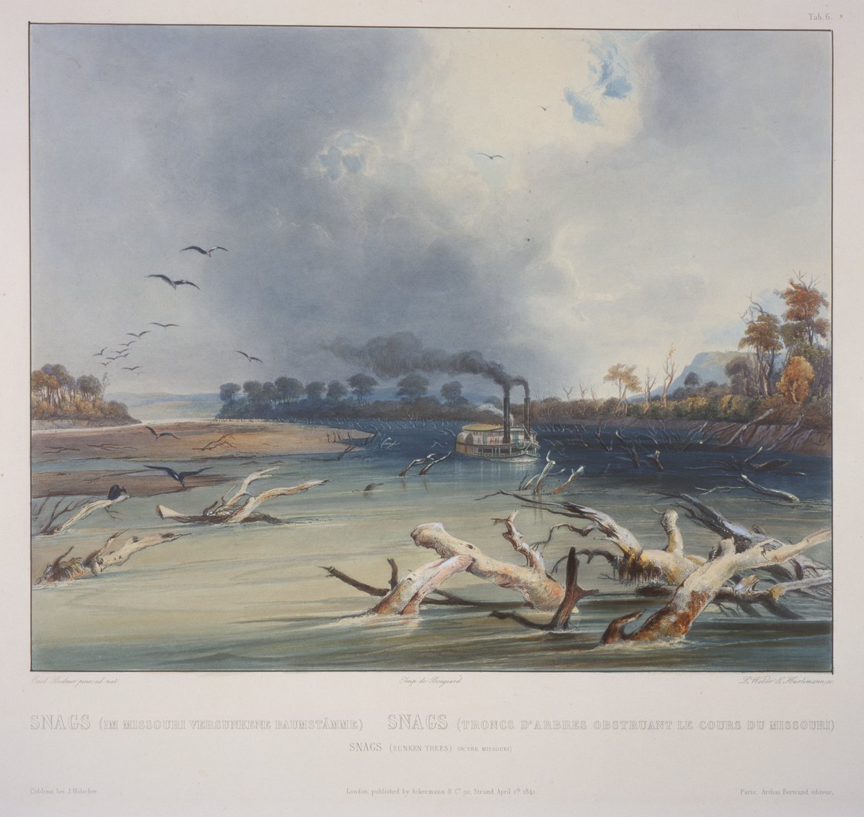 Treibhölzer (versunkene Bäume) am Missouri von Karl Bodmer