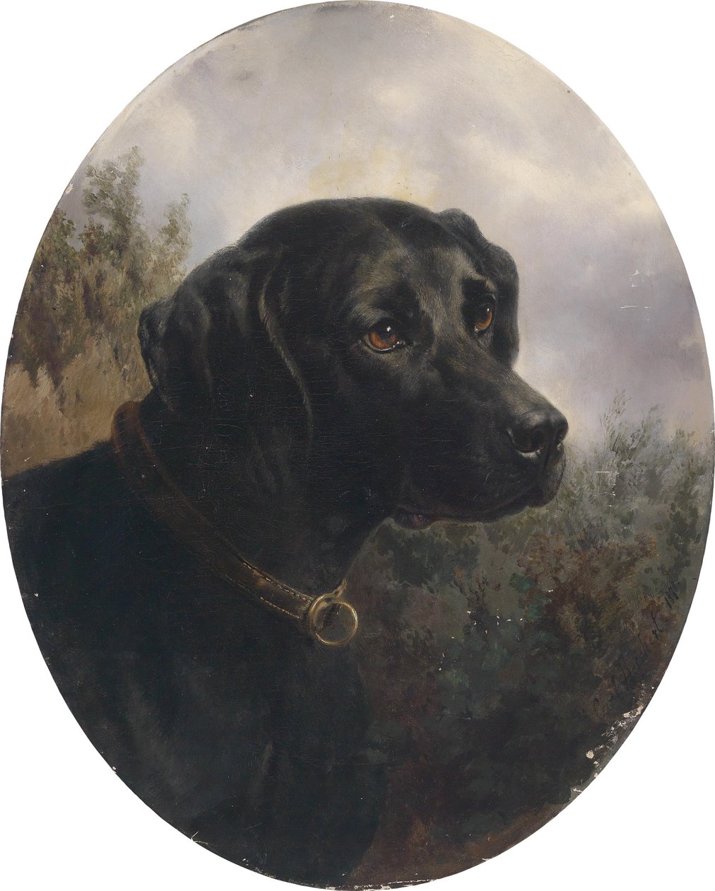 Hector, Vorstehhund des Arthur Ritter v. Schnapper von Karl Reichert
