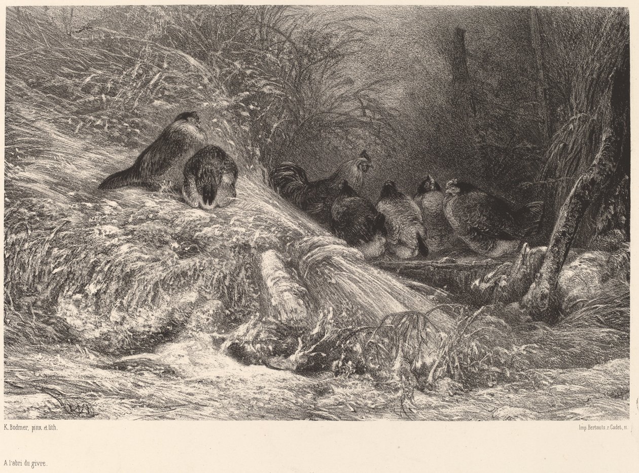 Im Schutz vor dem Frost von Karl Bodmer