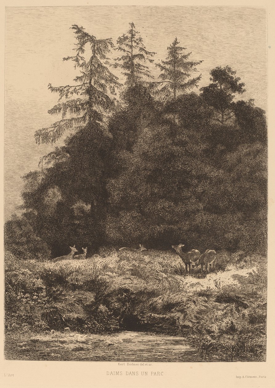 Hirsche in einem Park von Karl Bodmer