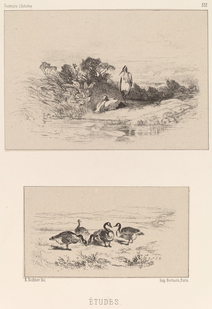 Studien von Karl Bodmer