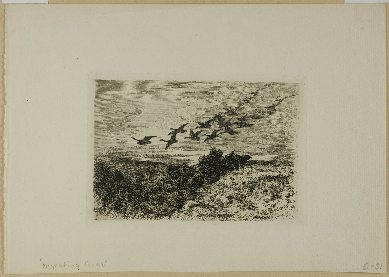Fliegende Gänse von Karl Bodmer
