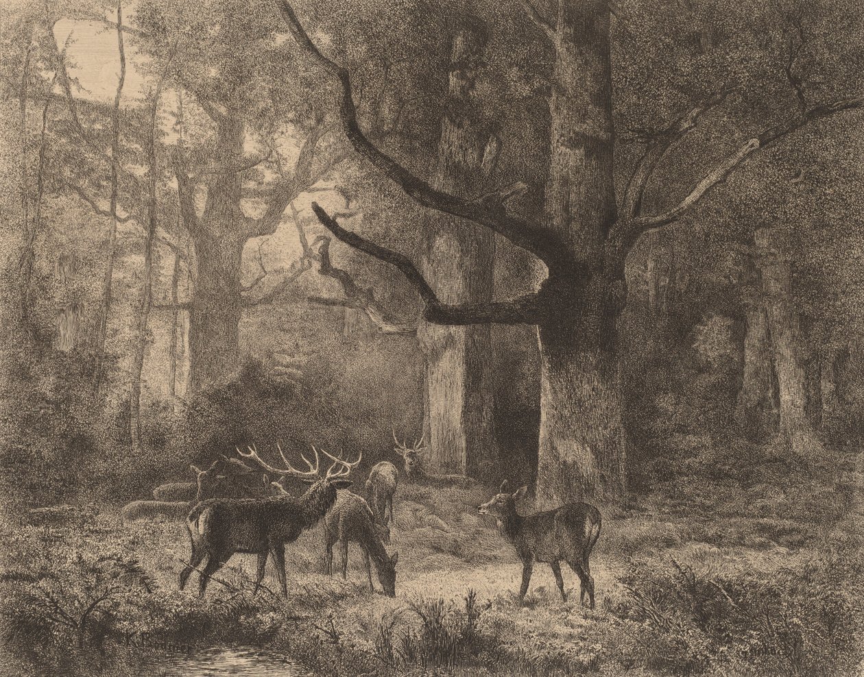 Wald von Fontainebleau von Karl Bodmer