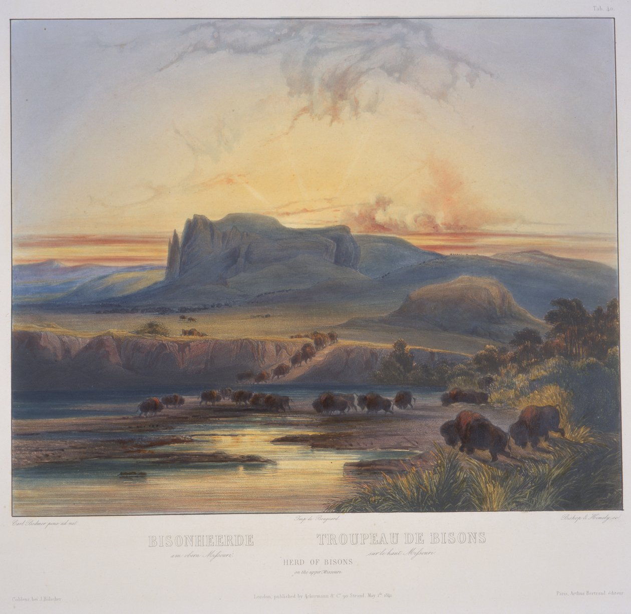 Bisonherde am oberen Missouri von Karl Bodmer