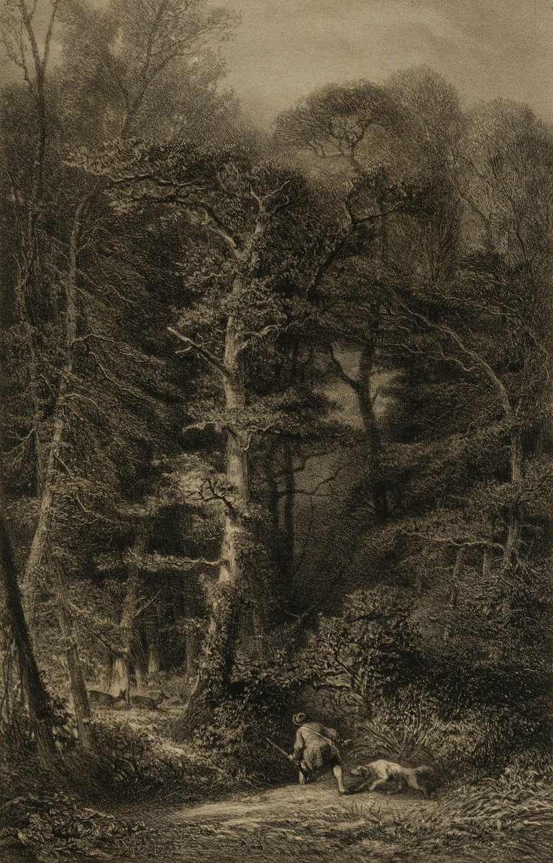 Waldinneres von Karl Bodmer