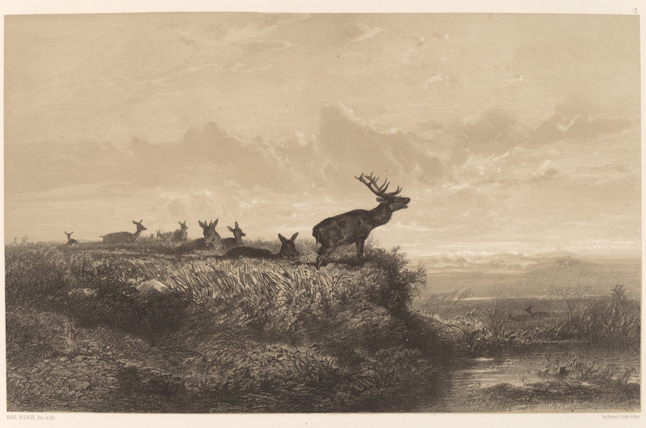 Der Morgen. Hirsch und Hirschkühe von Karl Bodmer