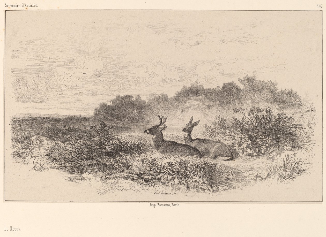 Die Ruhe von Karl Bodmer