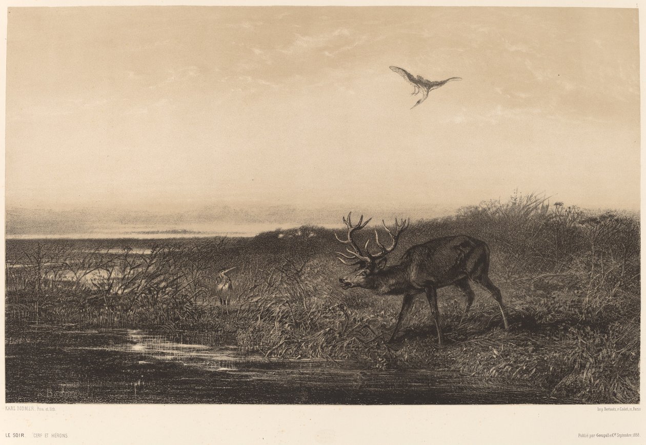 Der Abend. Hirsch und Reiher von Karl Bodmer