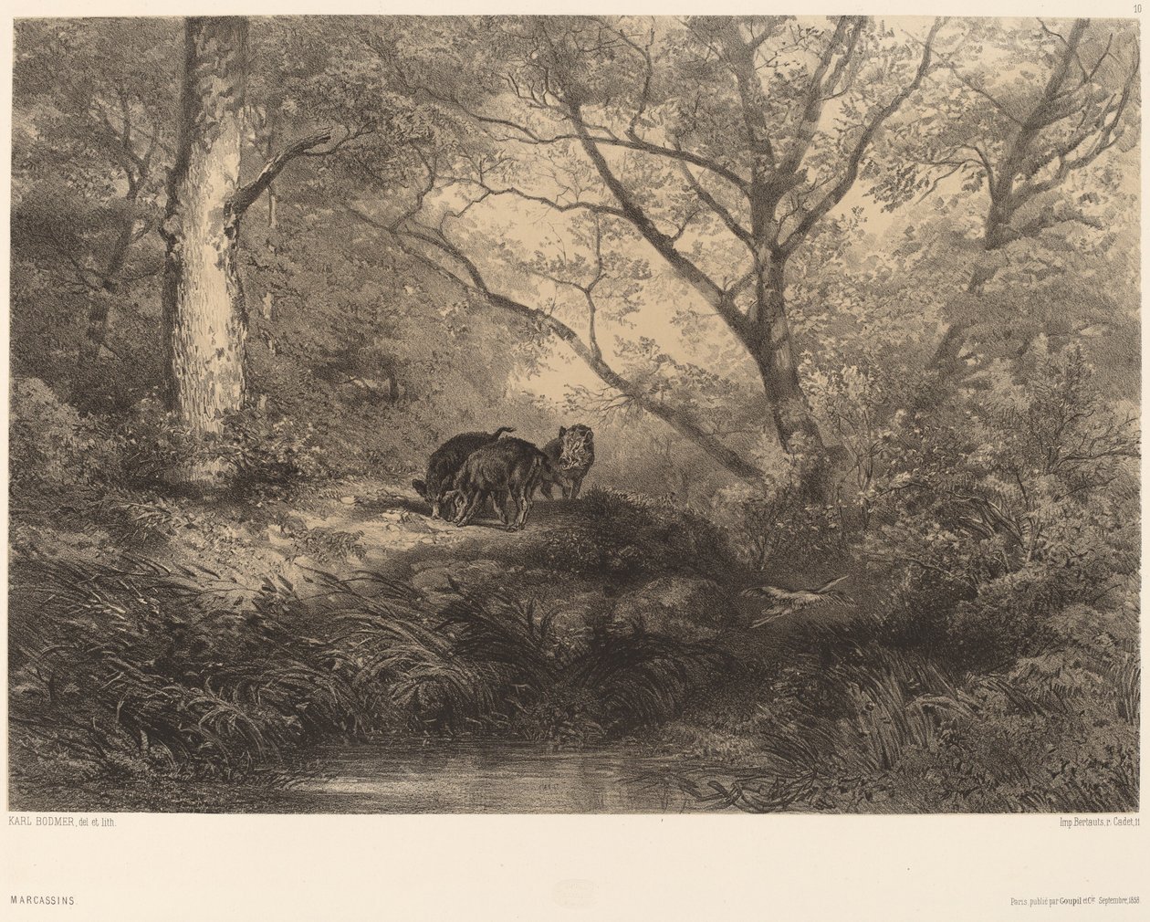Frischlinge von Karl Bodmer