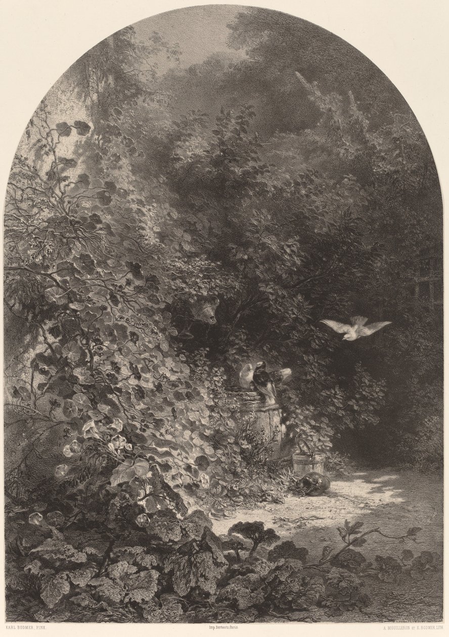 Ein Garteneck von Karl Bodmer