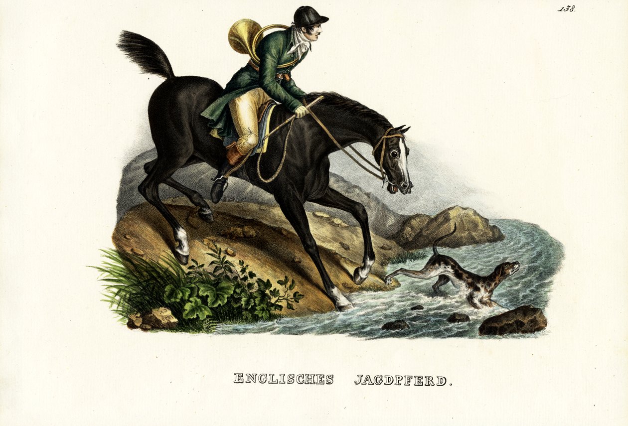 Englisches Jagdpferd, 1824 von Karl Joseph Brodtmann