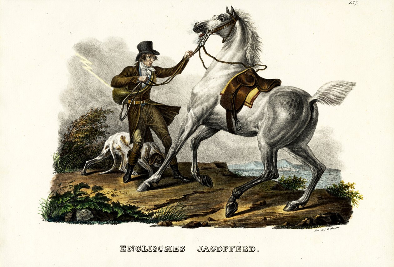 Englisches Jagdpferd, 1824 von Karl Joseph Brodtmann