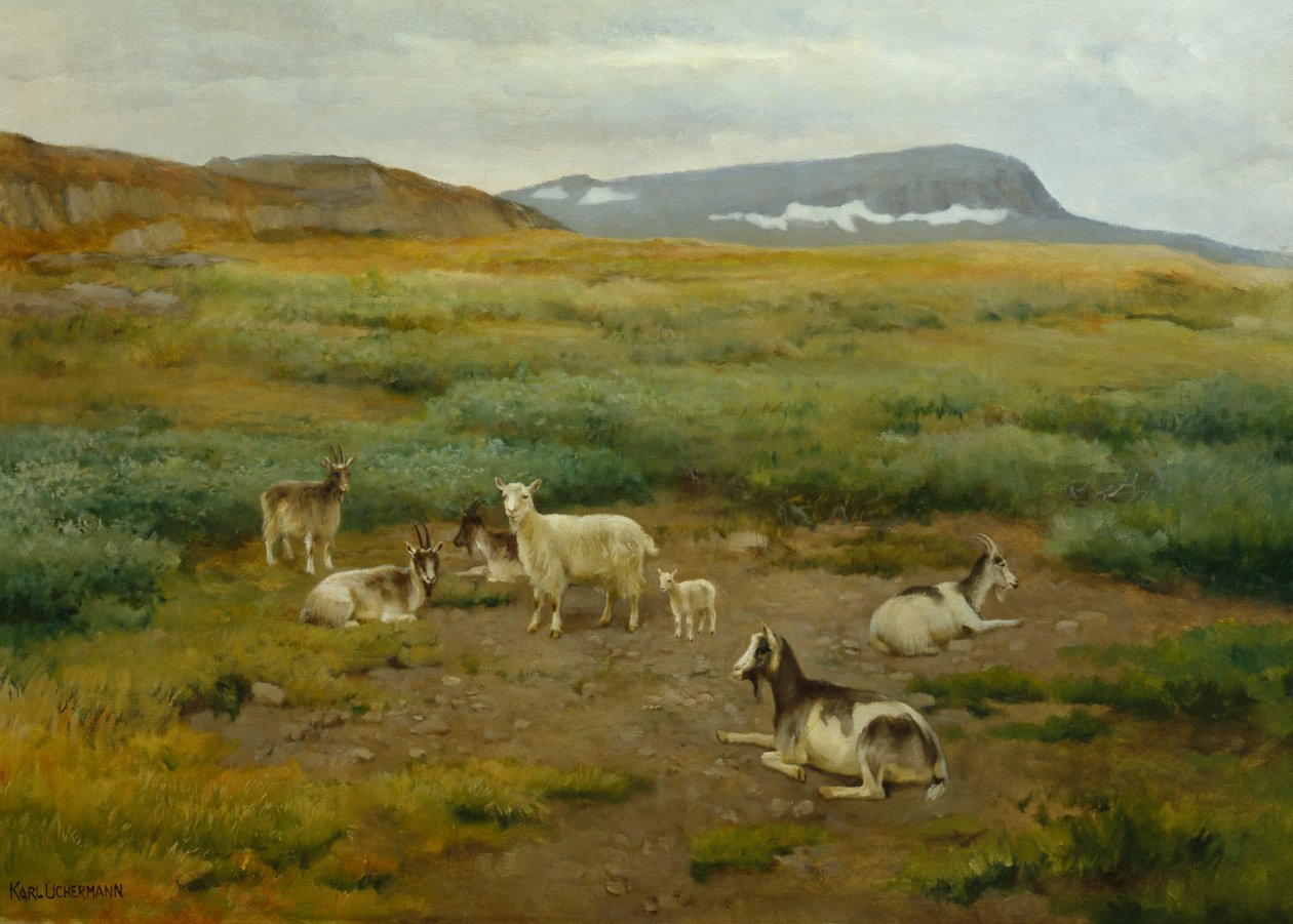 Ziegen auf der Wiese von Karl K. Uchermann