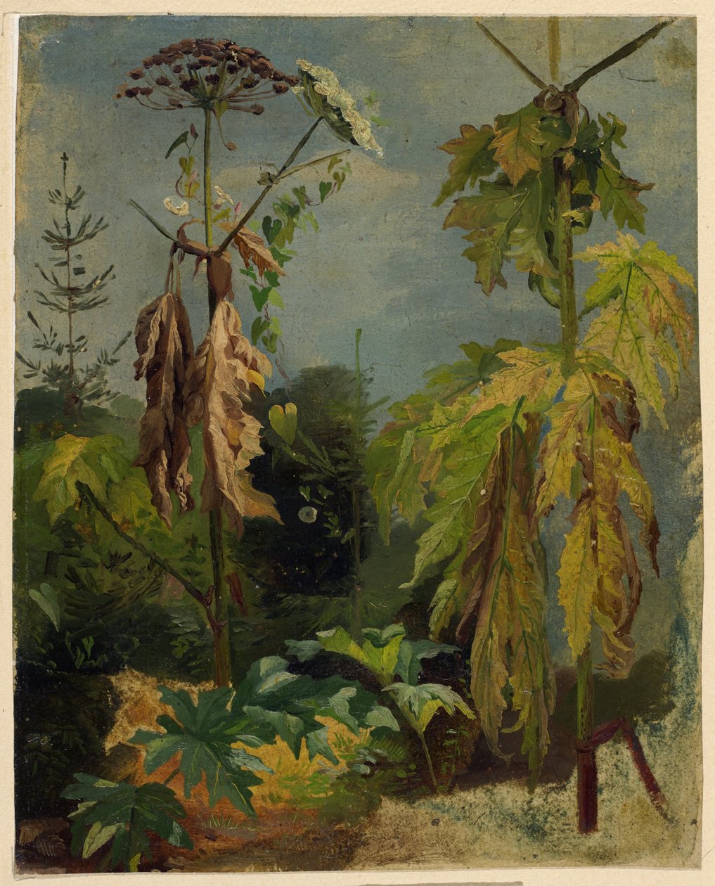Schierling-Studie von Karl Ludwig Seeger
