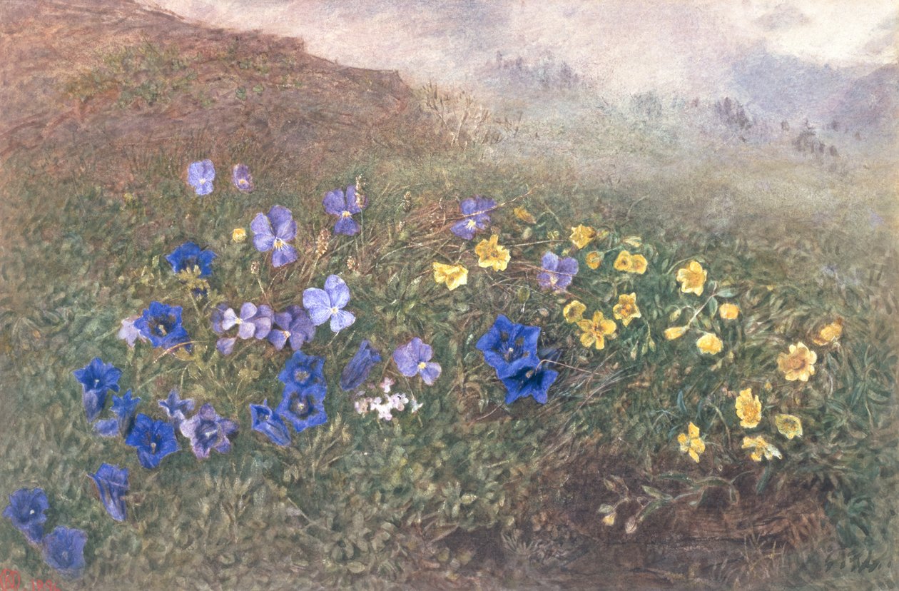 Frühlingsbergblumen, 1896 von Kate fl.1873 96 Goodwin
