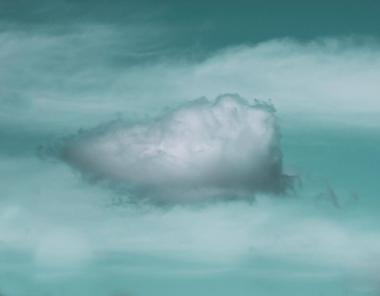 Diese Wolke, 2021 von Katha Wood