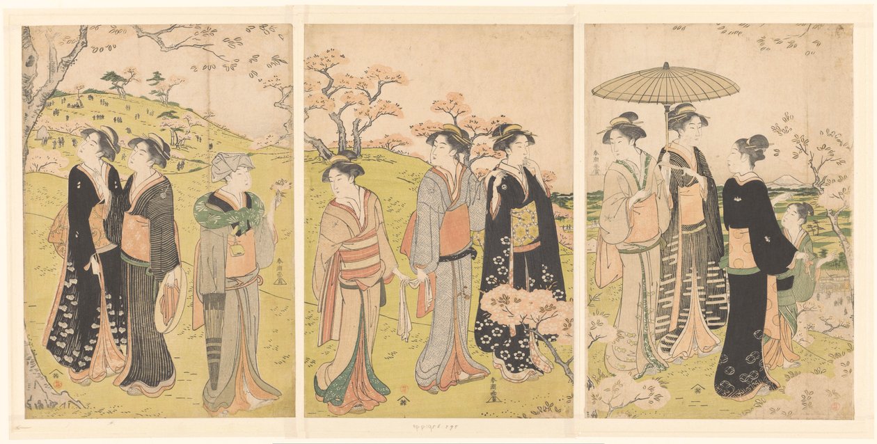 Bewundern der Kirschblüten in Asukayama von Katsukawa Shuncho
