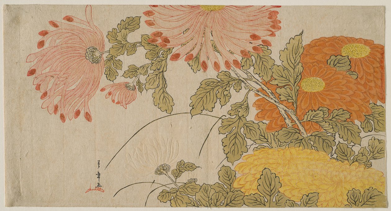 Chrysanthemen, ca. 1780 von Katsukawa Shunsho