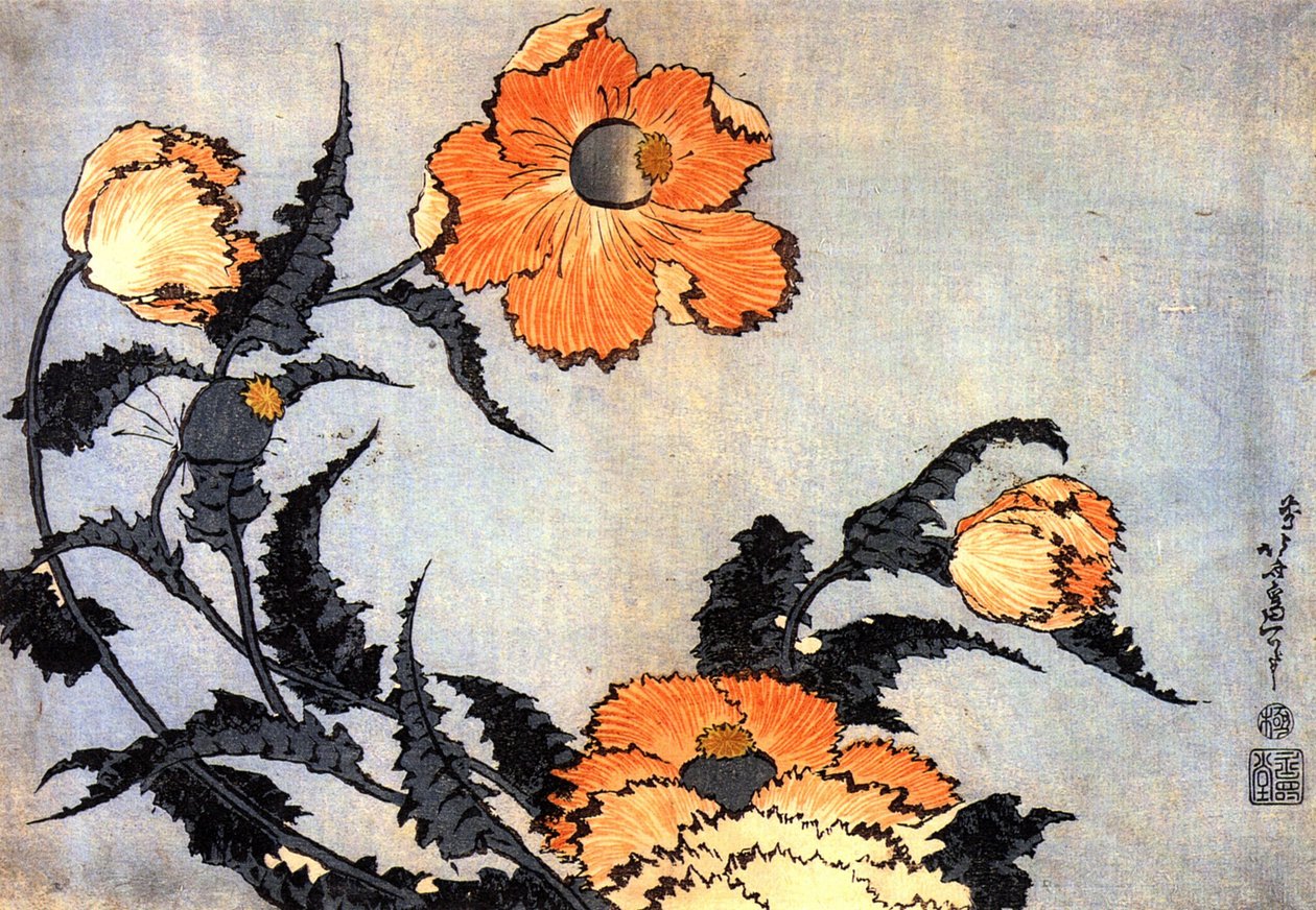 Mohnblumen von Katsushika Hokusai