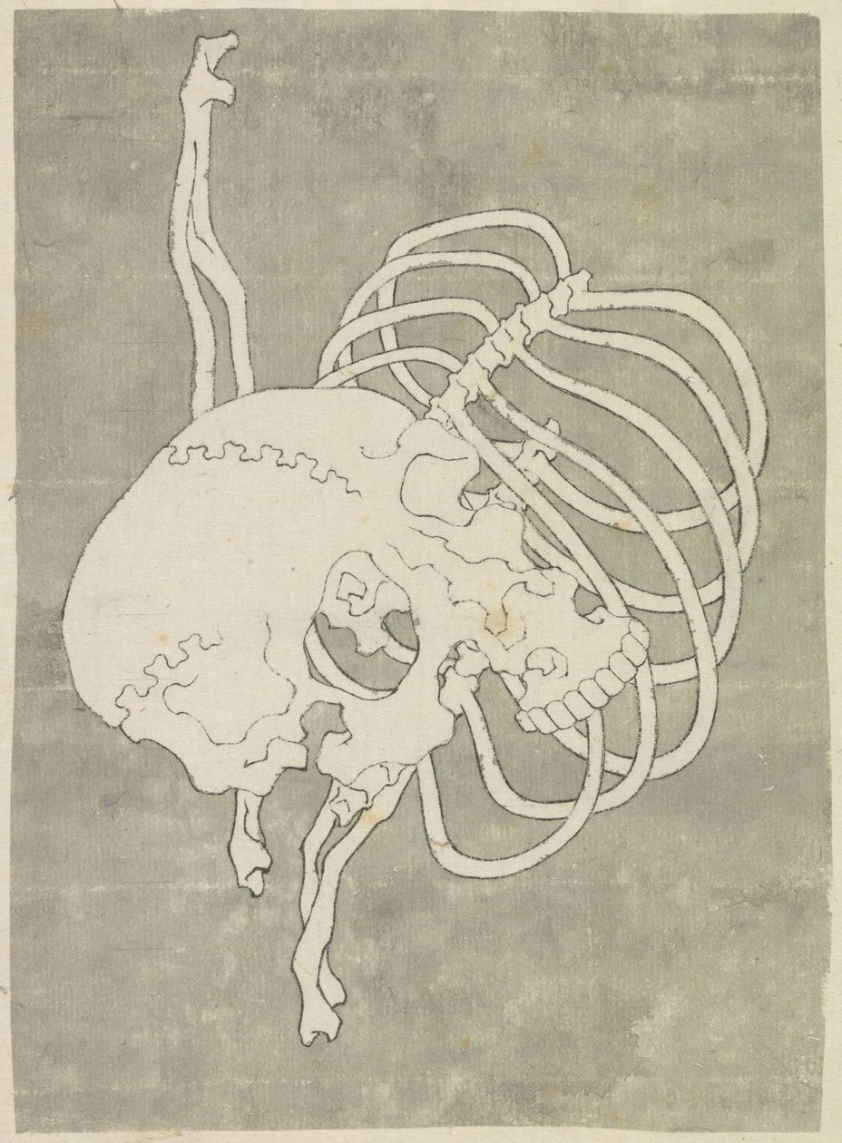 Schädel und ein Brustkorb von Katsushika Hokusai (possibly)
