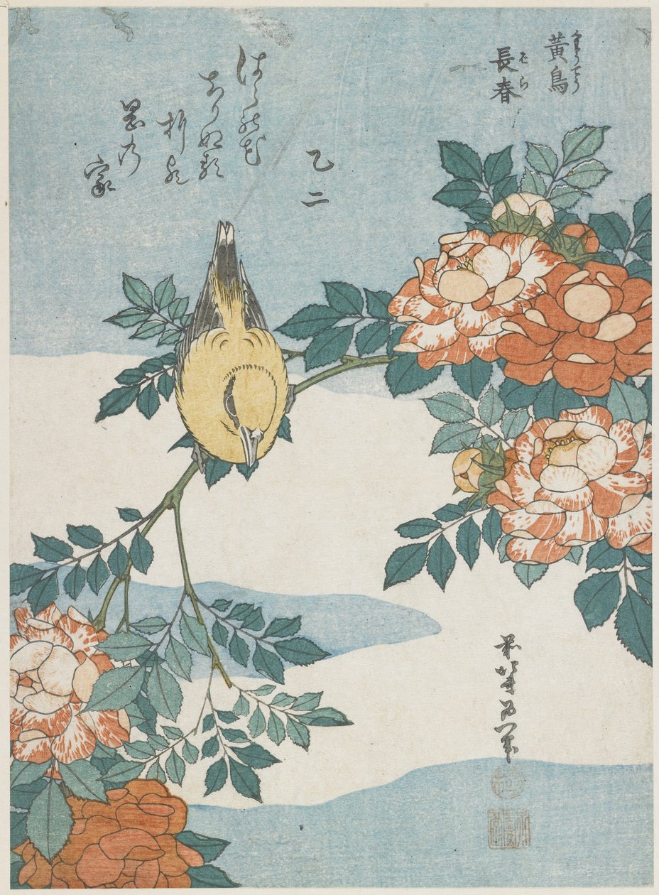 Schwarzgenickpirol und Chinarose, ca. 1833 von Katsushika Hokusai