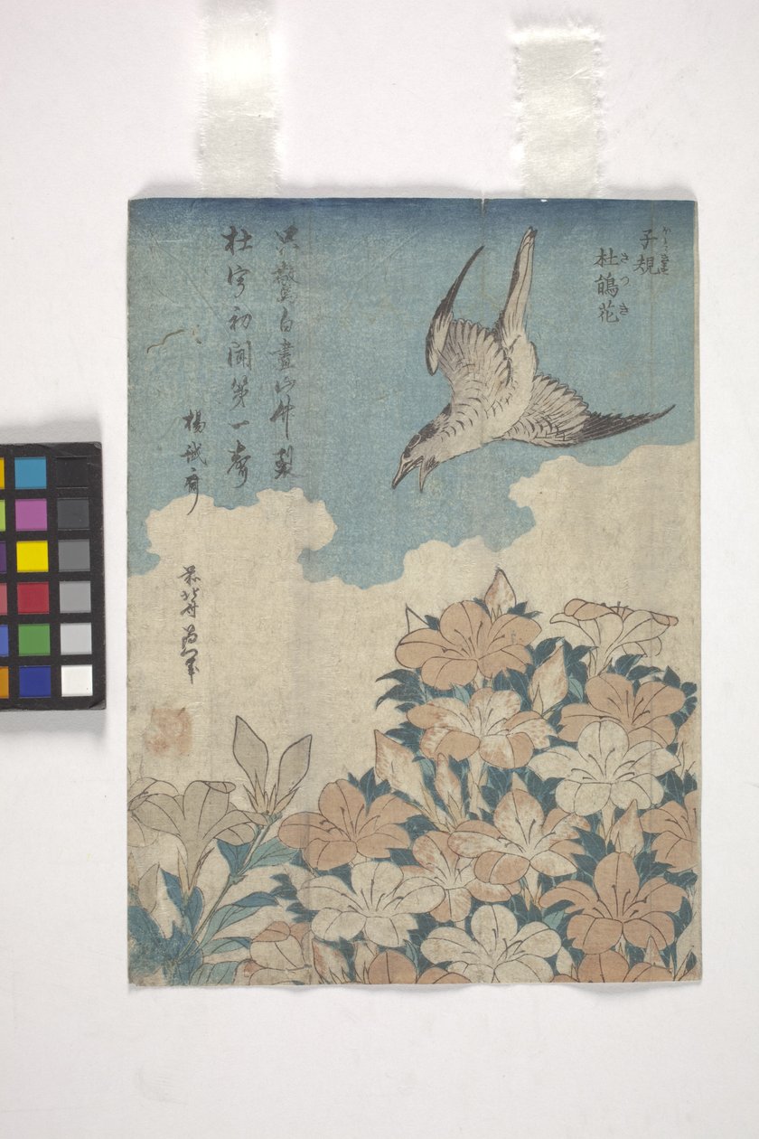 Kuckuck und Azalee von Katsushika Hokusai