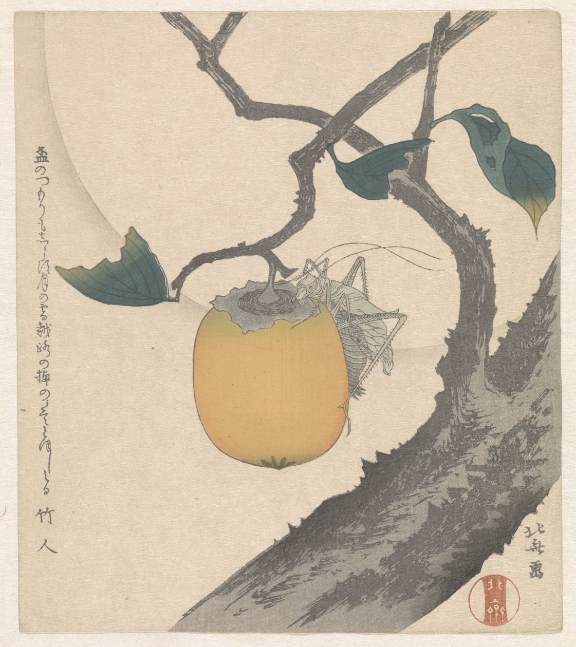 Kakifrucht mit Heuschrecke von Katsushika Hokusai