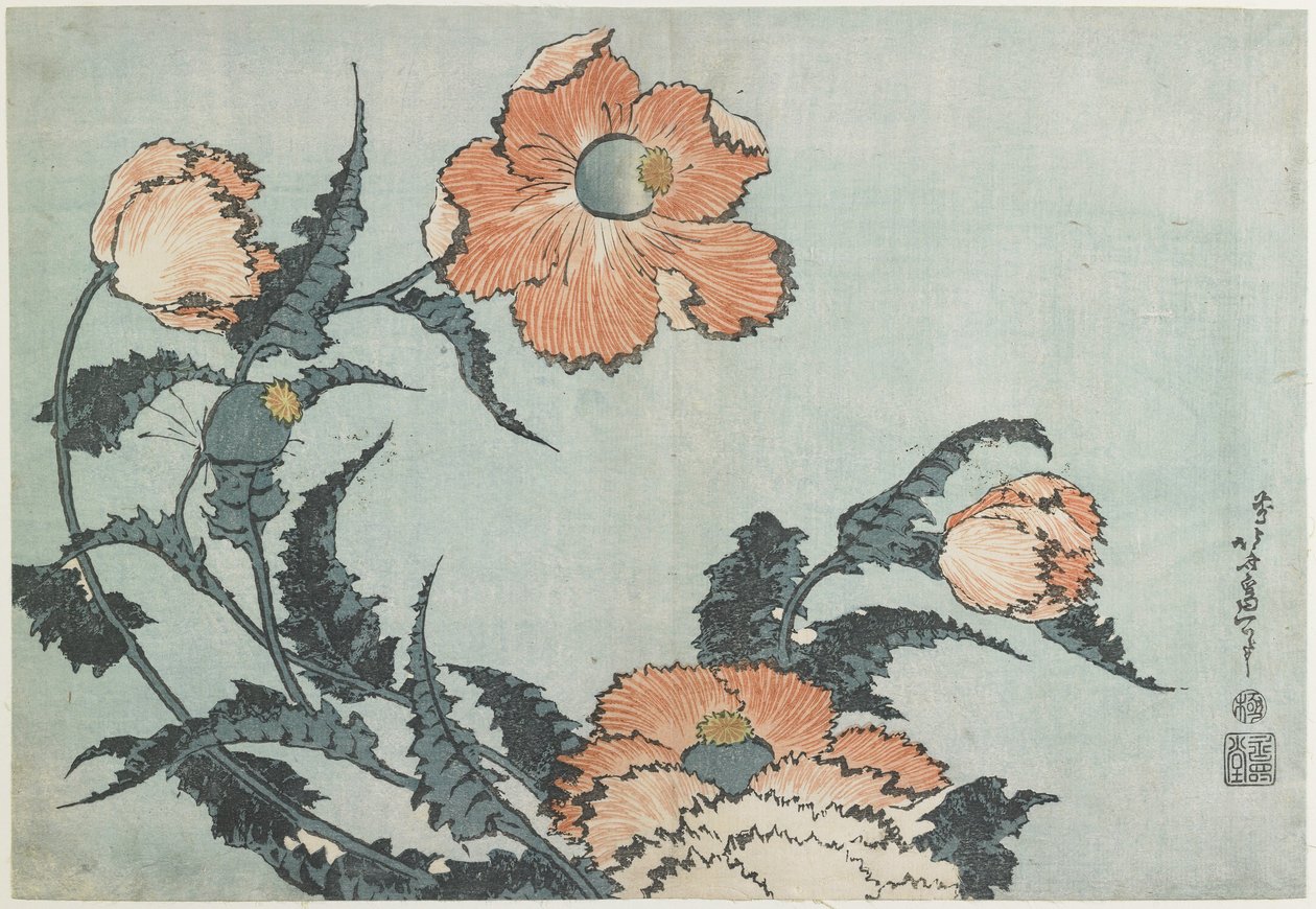 Mohnblumen, ca. 1832 von Katsushika Hokusai
