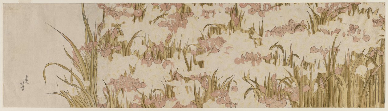 Weiße und violette Schwertlilien von Katsushika Hokusai
