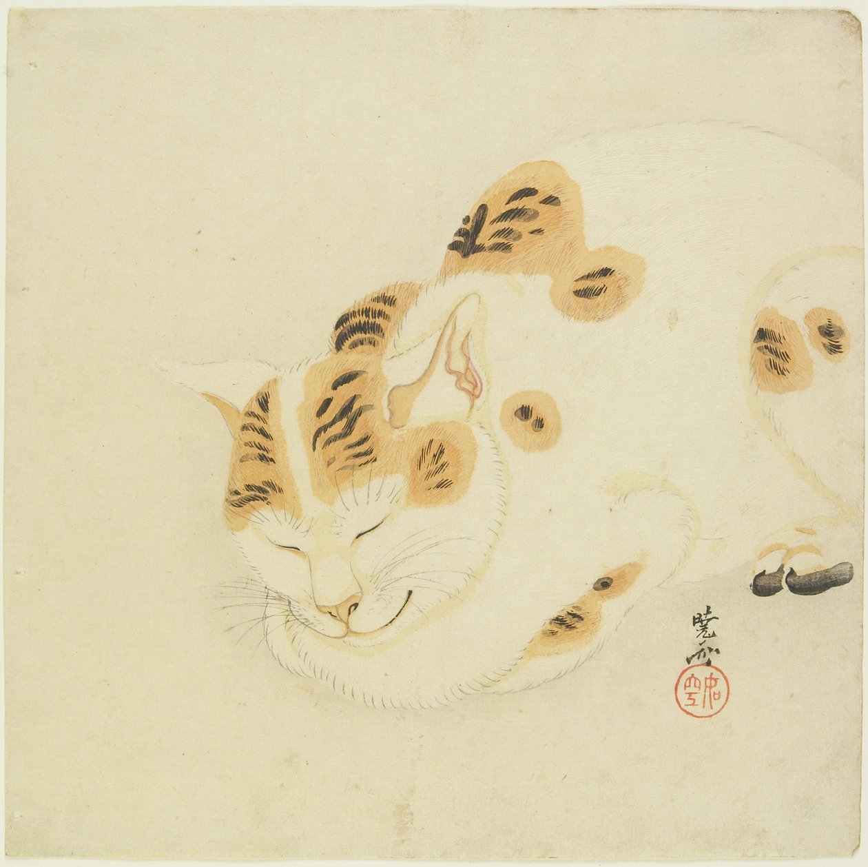 Schlafende Katze von Kawanabe Kyosai